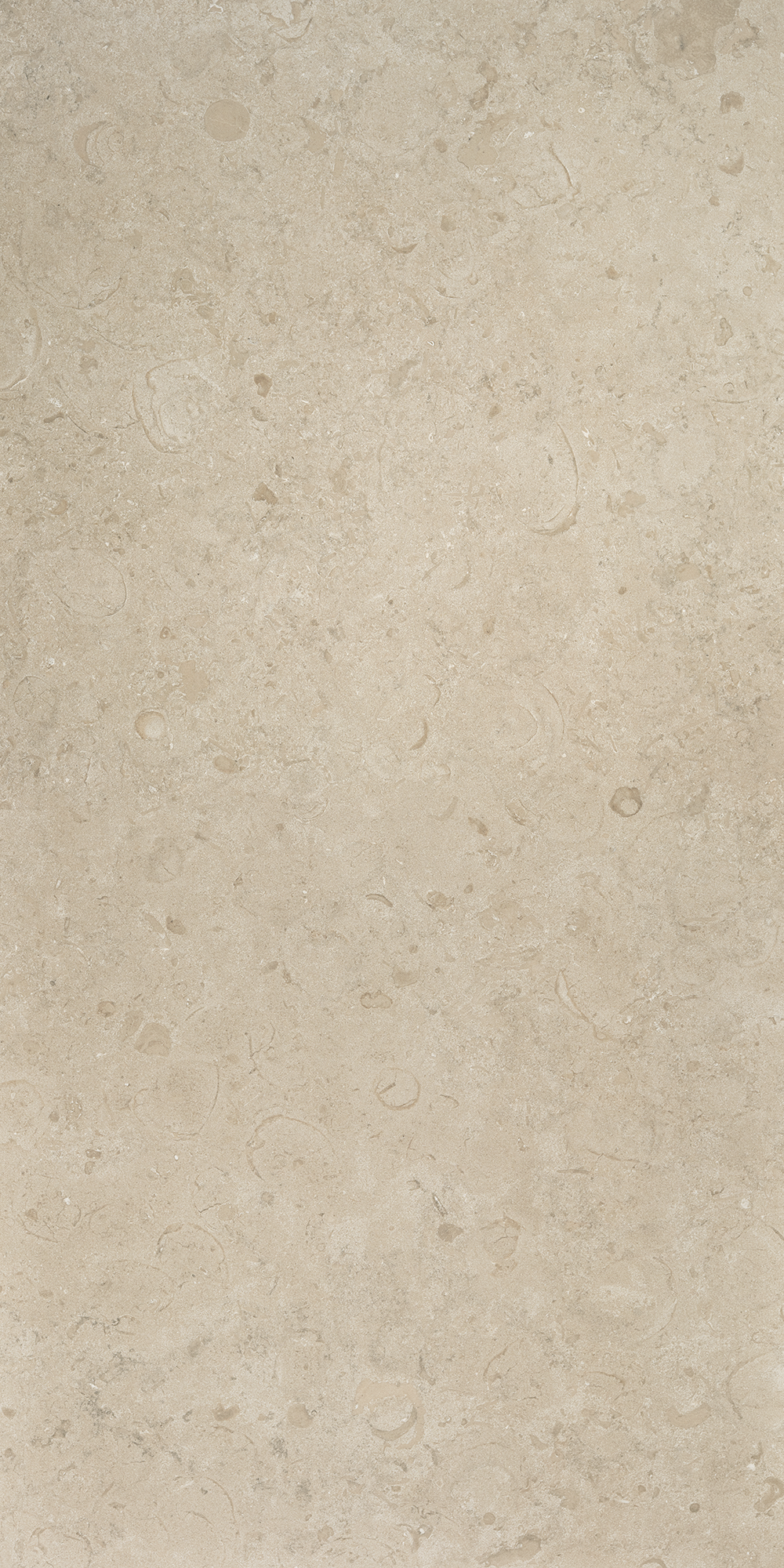 J612 NORRVANGE BEIGE