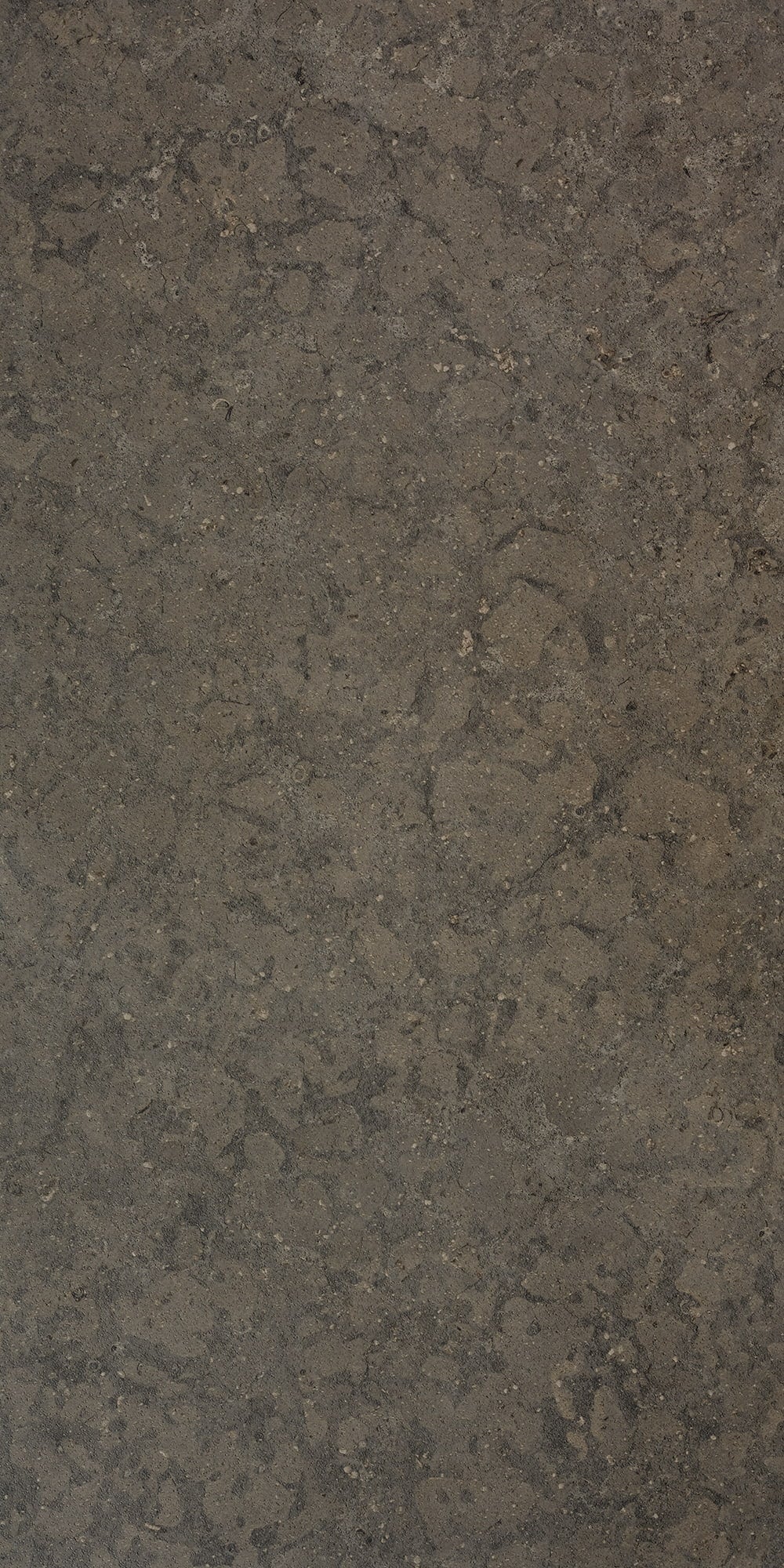 Klinker Bricmate J612 Azul Olive Honed 60x120