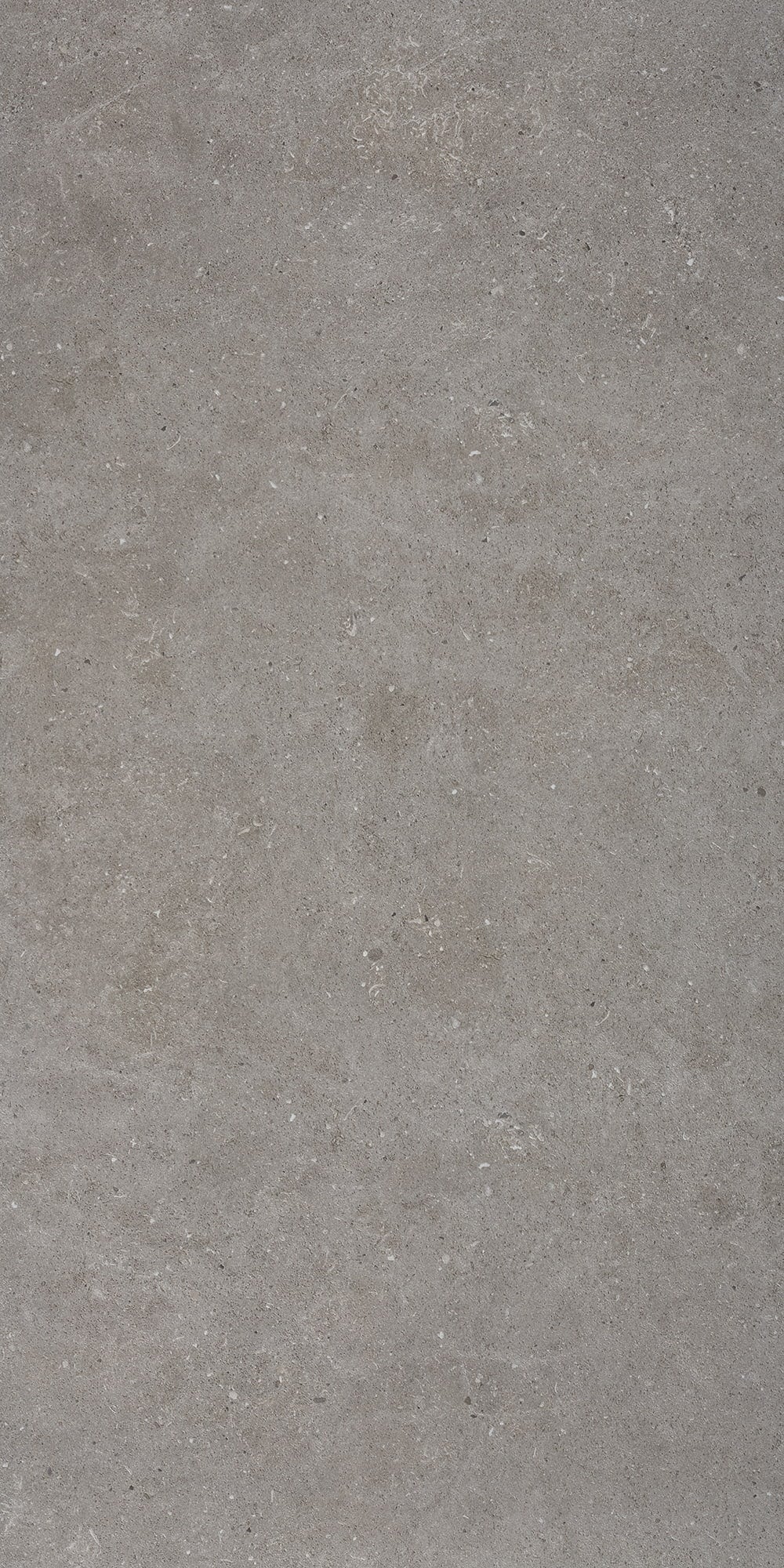 Klinker Bricmate J612 Stone Select Grey Honed 60x120