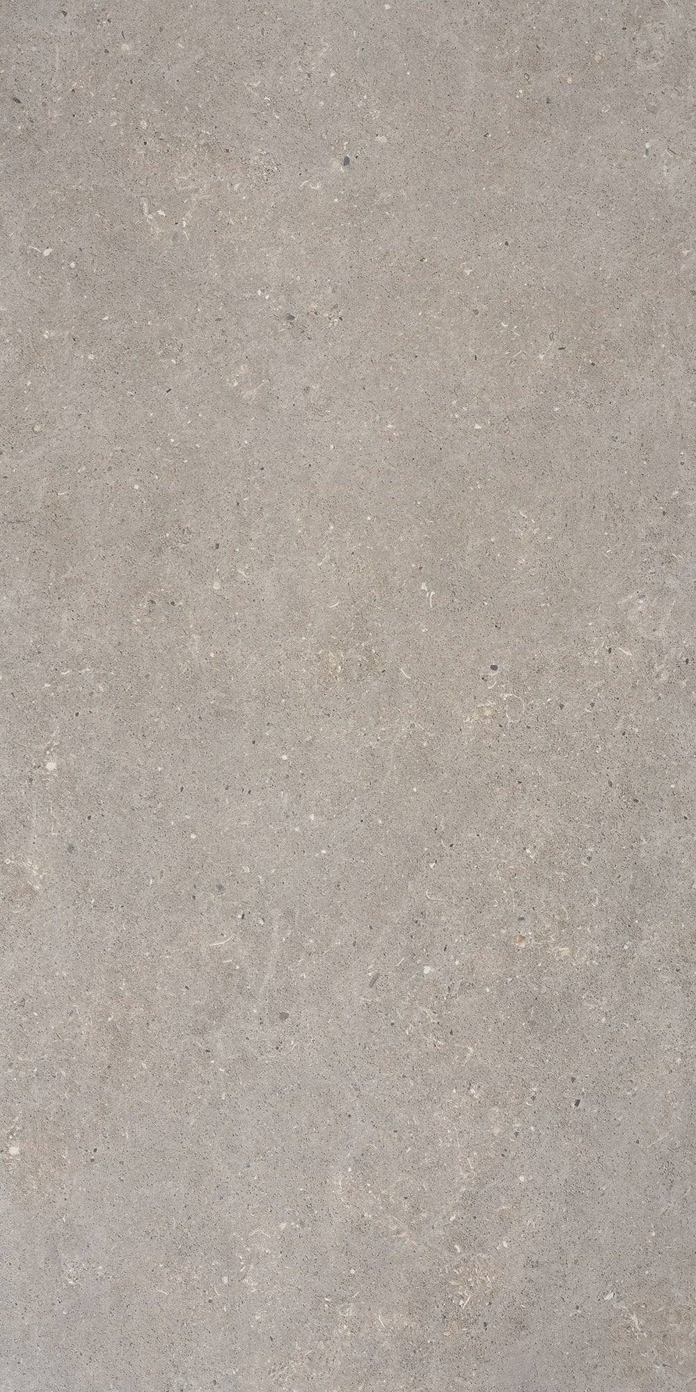 Klinker Bricmate J612 Stone Select Light Grey 60x120