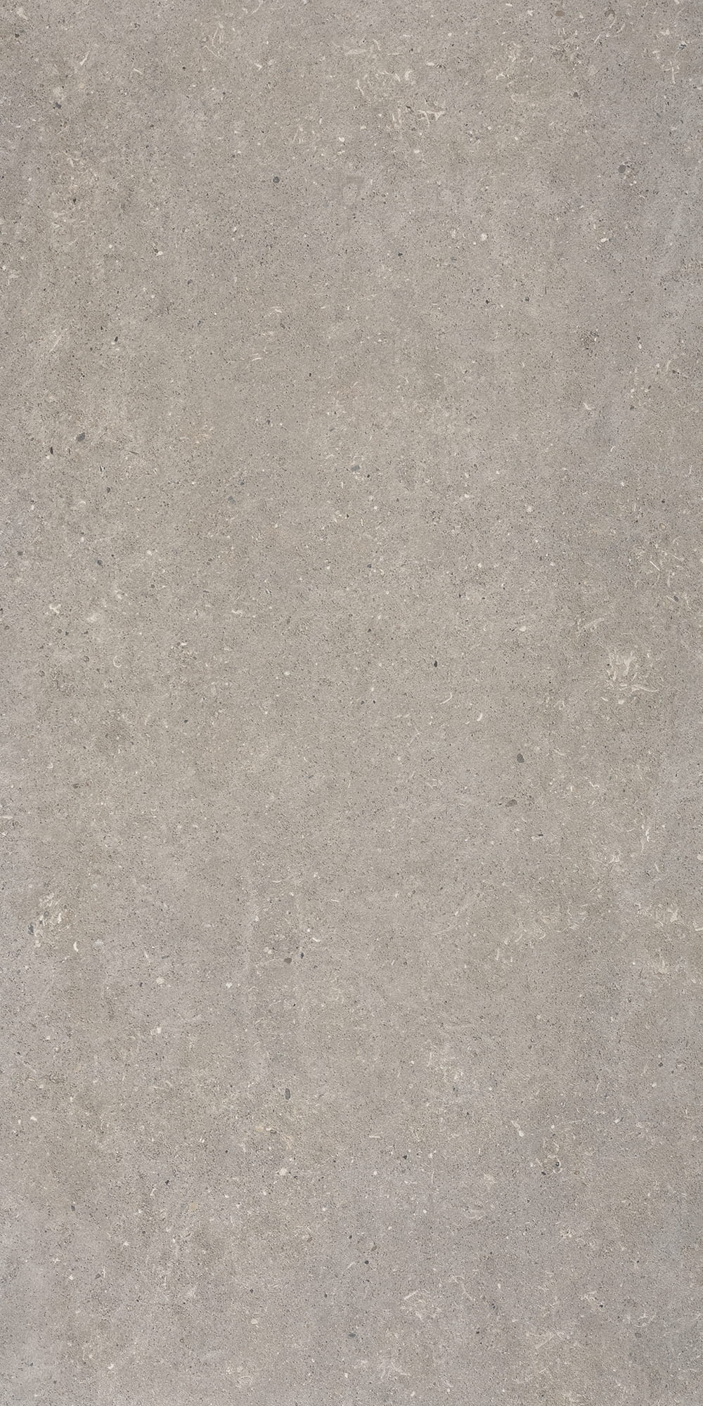 Klinker Bricmate J612 Stone Select Light Grey Honed 60x120