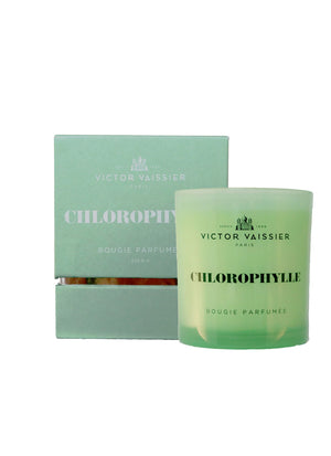 Chlorophylle  Bougie Parfumée