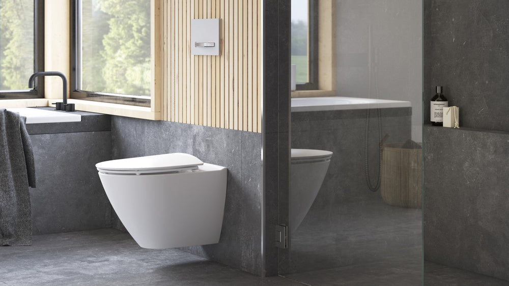 Vägghängd WC IFÖ Spira Art 6245 Rimfree